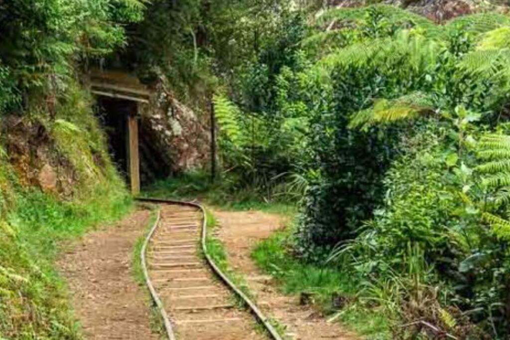 Crown Ridge Miners Cottage Karangahake Экстерьер фото