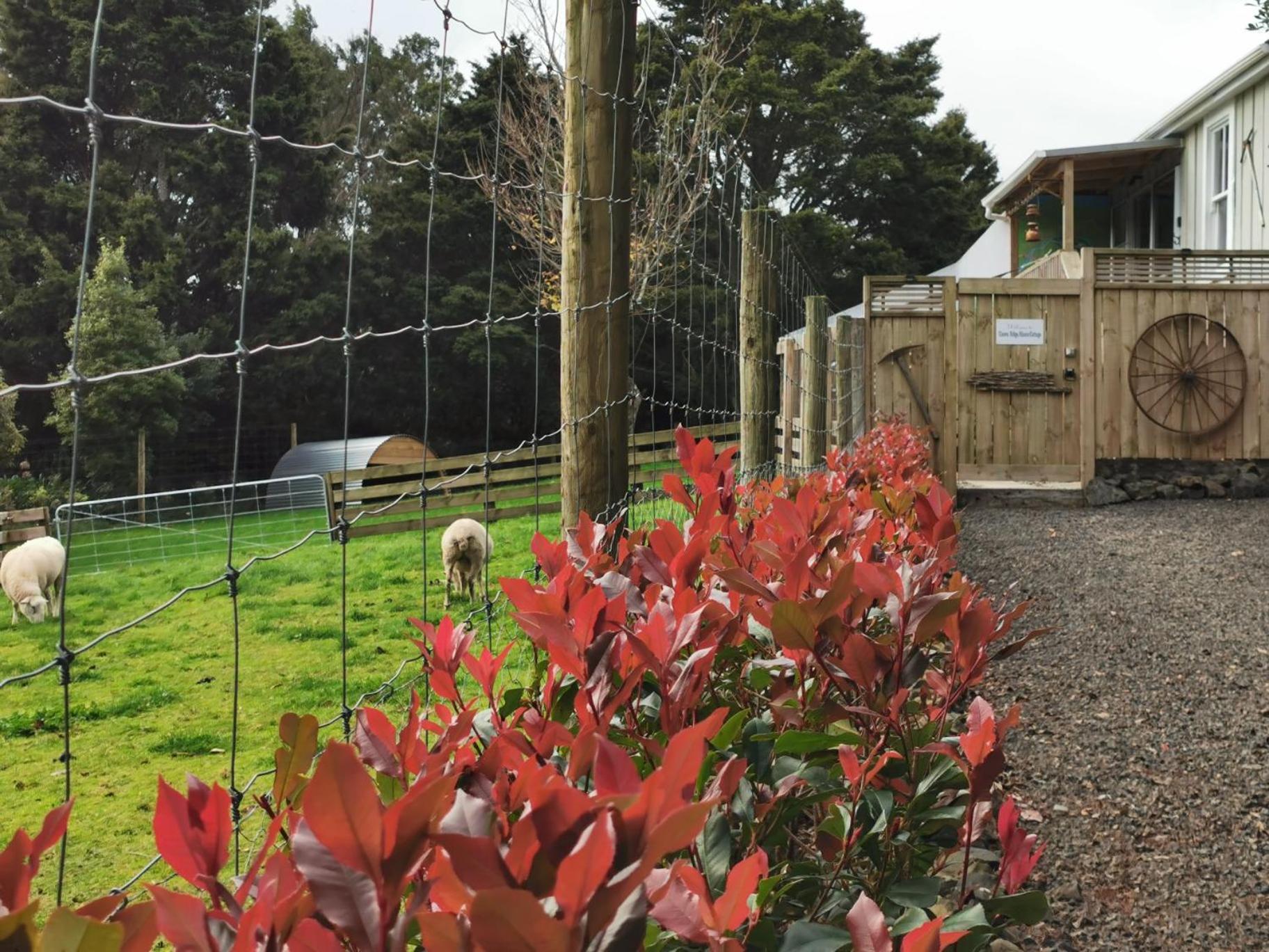 Crown Ridge Miners Cottage Karangahake Экстерьер фото