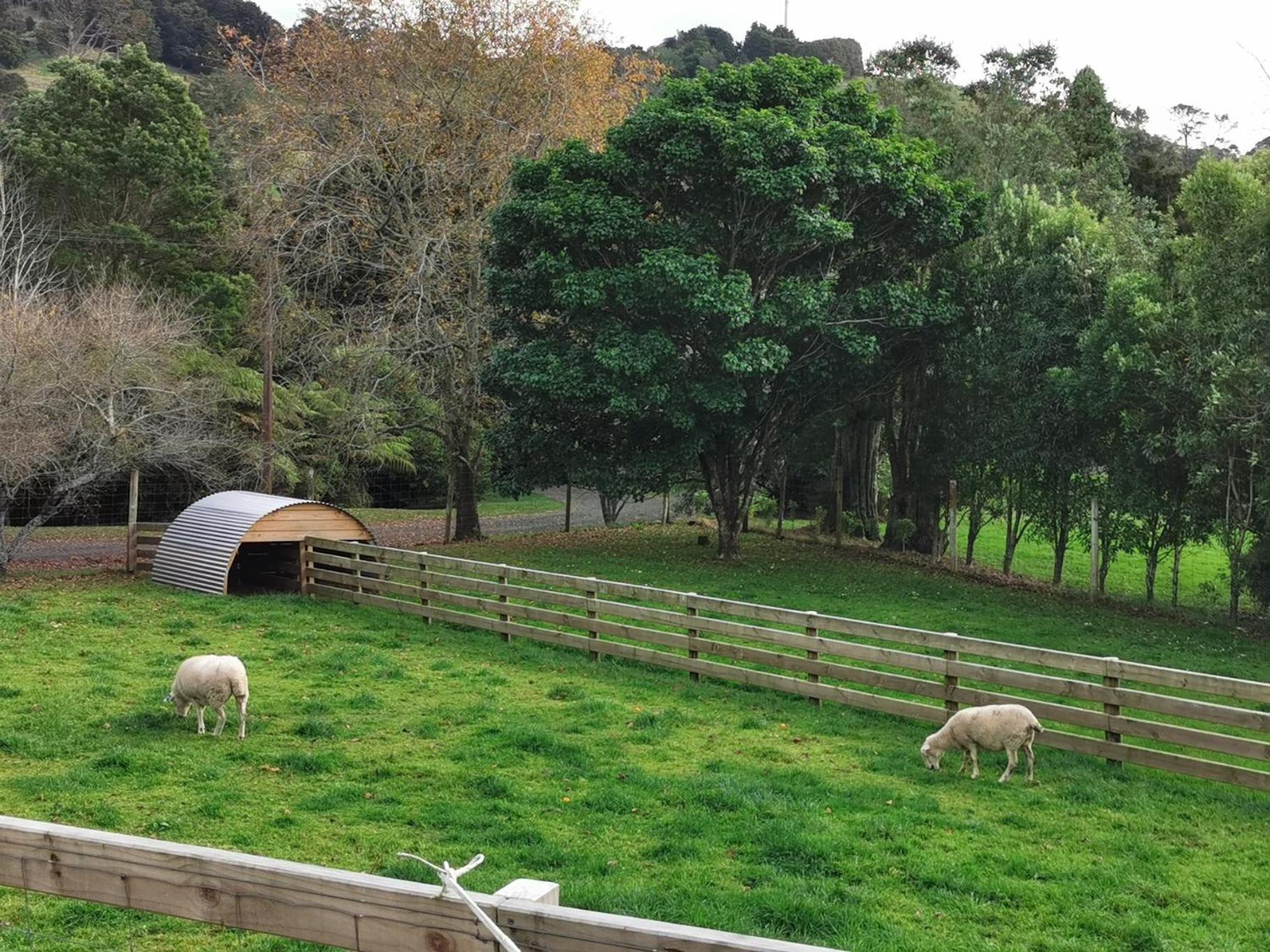 Crown Ridge Miners Cottage Karangahake Экстерьер фото